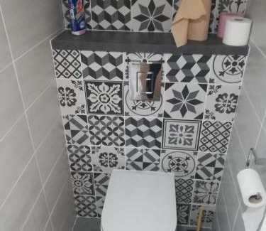 Montrond-les-Bains Apartment | Appartement dans maison atypique