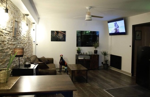 Saint-Laurent-sur-Saone Apartment | Appartement de Luxe Avec Sauna et Jacuzzi