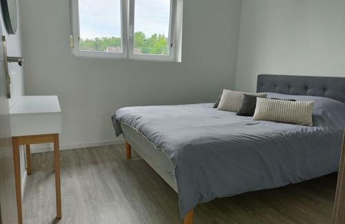 Selestat Apartment | Appartement entier F3 rénové - Petite pause à Sélestat