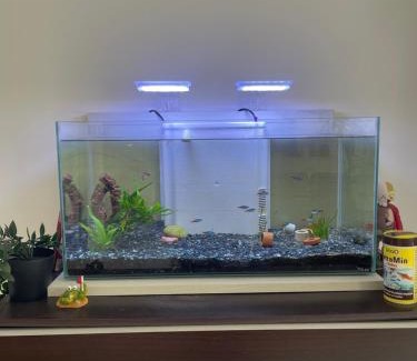 Saint-Andre-de-Cubzac Apartment | Appartement de Luca