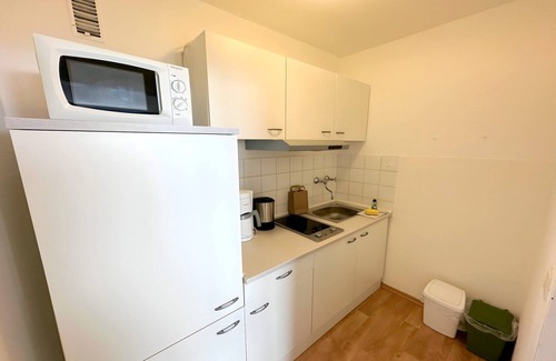 Geyersberg Apartment | Appartement Helmut mit Sauna und Pool