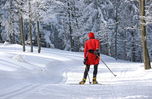 Geyersberg Apartment | Appartement Helmut mit Sauna und Pool