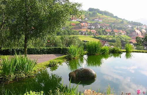 Busterbach Apartment | Appartement mit großzügigem Vier-Bett-Zimmer, TV
