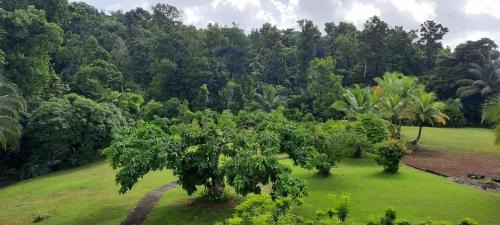 Goyave Apartment | Appartement moderne à Goyave avec jardin et terrasse