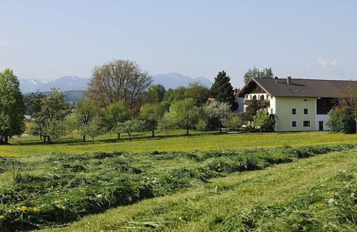 Hoslwang Apartment | Appartement Rittersporn, 27 qm Obergeschoss, Kombinierter Wohn- und Schlafraum