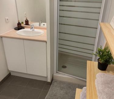 Colomiers Apartment | Appartement T1 Colomiers proche AIRBUS