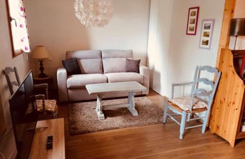 Sers Apartment | Appartement T2 confortable, 4 pers., garage, WIFI, Barèges, proche thermes et ski-bus - FR-1-403-97