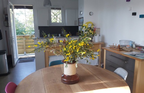 Piraillan Apartment | Appartement T2 de 42m2 Avec Balcon à 150m de la Plage Côté Bassin