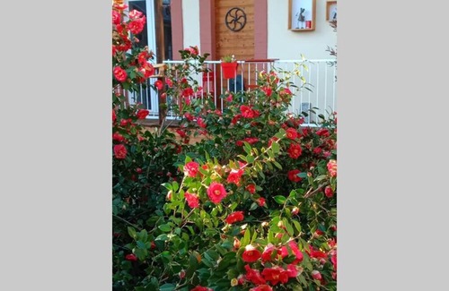 Tarbes Apartment | Appartement T2 situé à Marcadieu