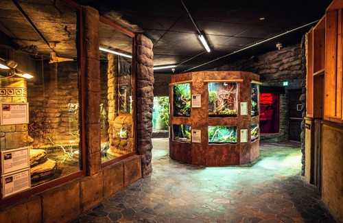 Weissenhaeuser Strand Apartment | Appartements im Freizeitpark Weissenhauser Strand