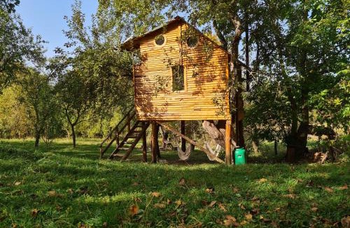Valea Mare-Pravat Other | Apple Tree Cabin (Friendship Land)