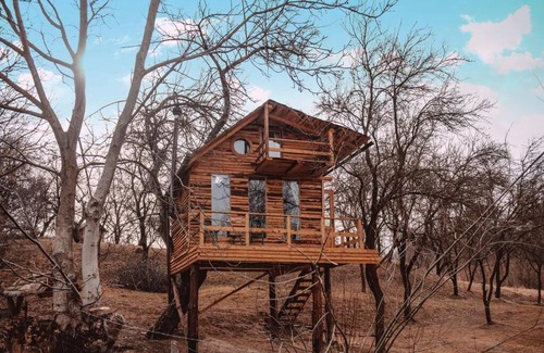 Valea Mare-Pravat Other | Apple Tree Cabin (Friendship Land)