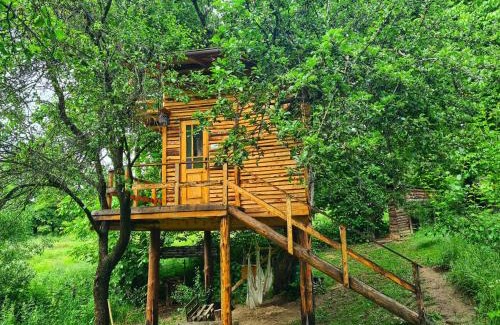Valea Mare-Pravat Other | Apple Tree Cabin (Friendship Land)