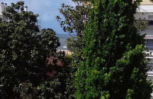 Arcachon Apartment | appt, basin view and on the cabins