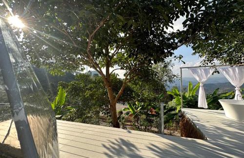 Chiang Rai Province Cabin | Arabica Lodge (อาราบิก้า ลอดจ์)