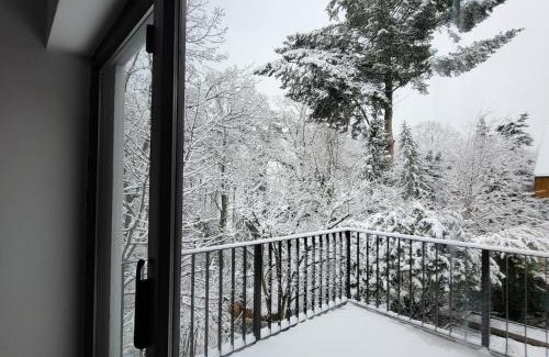 Sudstadt Villa | Architektenhaus am Waldrand mit Sauna