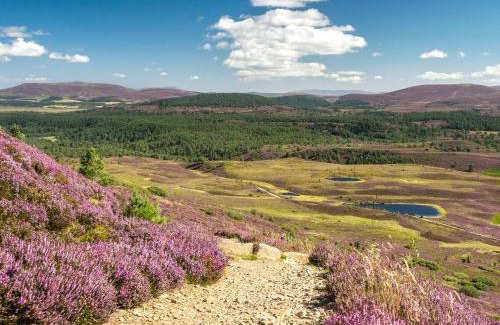 Blairgowrie House | Ardle Lodge