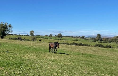 Omagh Bed & Breakfast | Arney Lodge Farm