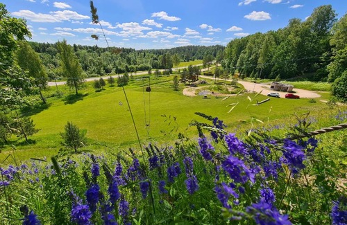 Sarkani Other | Aronas kalns