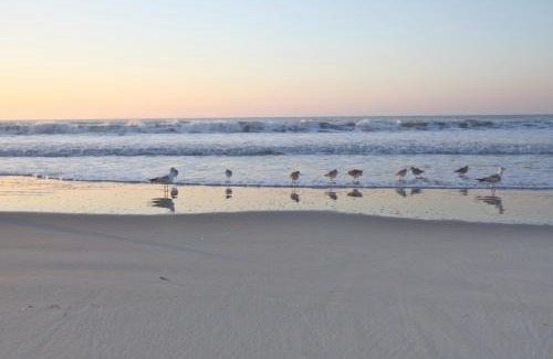 Isle of Palms House | Array of Sunshine Condo