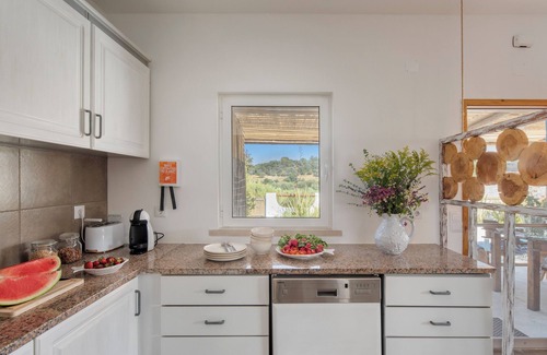 Alcacer do Sal House | Arrozal House with pool