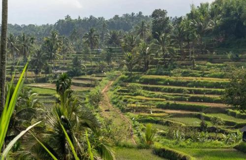 Tetebatu House | Arsilahomestay