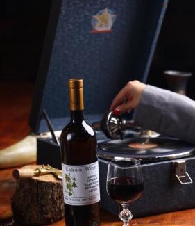 Akhaltsikhe Hotel | Art Palace