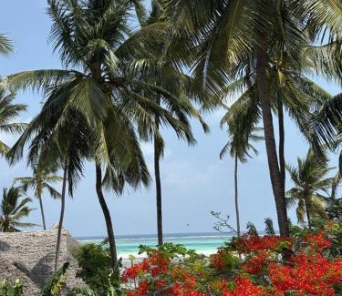 Pingwe House | Artists' Guesthouse Sleep&Dream - Zanzibar