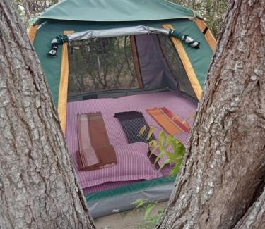 Gede Other | At the CaraVanserai