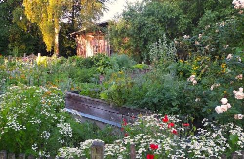 Horst Apartment | Atelierwohnung Hof Kranichmoor