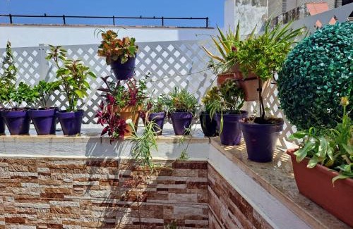 Museo Apartment | Atico Duplex Marques de Reyes