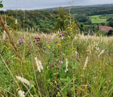 Couvin House | Au Cœur des Vallées