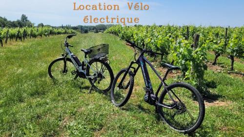 Lussac Bed & Breakfast | Au Do'Mayne des Bouilles - Spa & Piscine