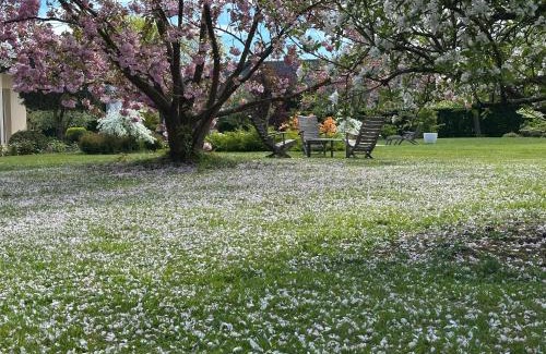 Saint-Pierre-Azif Bed & Breakfast | Au Milieu des Haras