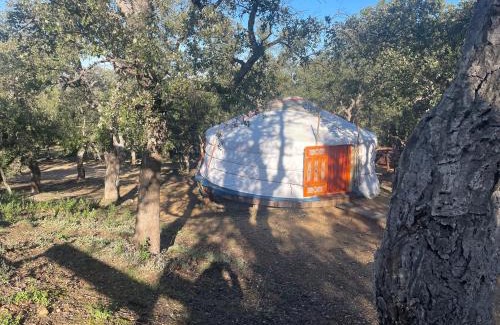 Sorede Bed & Breakfast | Au Soleil Mongol