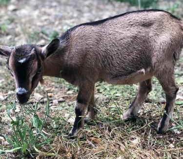 Polisy House | AU VIEUX PUIT