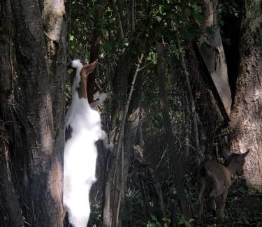 Polisy House | AU VIEUX PUIT