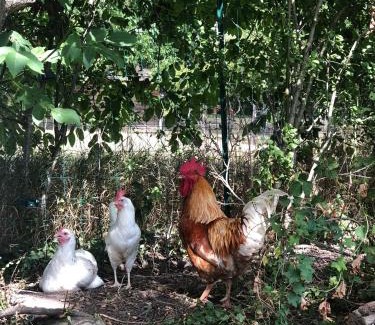 Polisy House | AU VIEUX PUIT