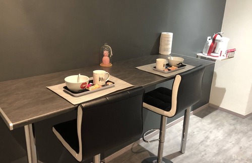 Audincourt Apartment | AUDIN SPA: JACCUZI⚡️SAUNA⚡️NETFLIX⚡️