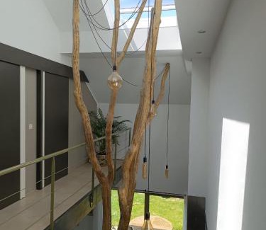 Gros-Fays Bed & Breakfast | Auprès de mon arbre