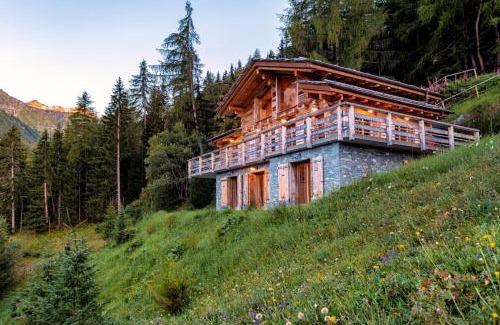 Riddes Ski Chalet | Authentic Swiss Spa Chalet Nesoya Jacuzzi Sauna