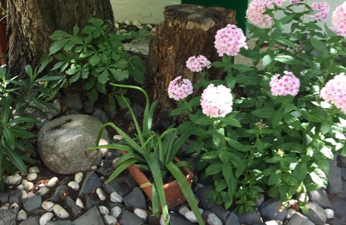 Cottbus Apartment | Avancers - Homelike Living. Historische Villa mit Komfort