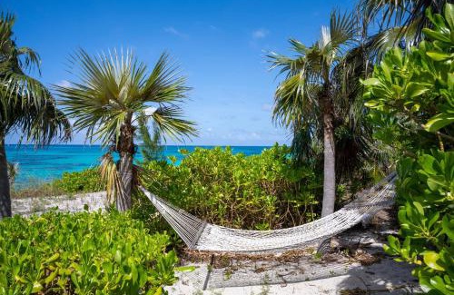 North Palmetto Point House | Azure home