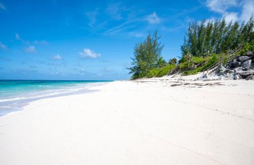 North Palmetto Point House | Azure home