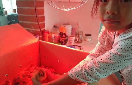 Kivik Hotel | Bästekille Gårdshotell