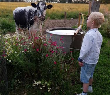 Kivik Hotel | Bästekille Gårdshotell