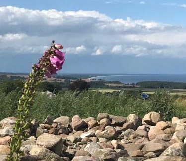 Kivik Hotel | Bästekille Gårdshotell