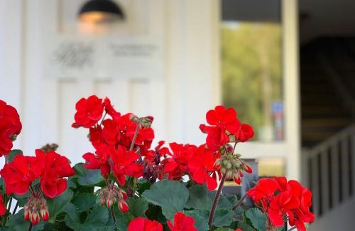 Byxelkrok Hotel | Böda Hotell