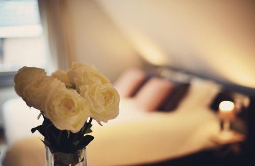 Assebroek Bed & Breakfast | B&B 7T