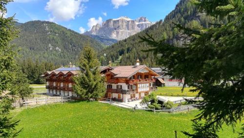 Alba Bed & Breakfast | B&B Agriturismo Cèsa Ciasates